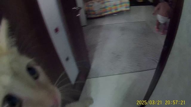 ГУСЛИКУ 2 ГОДА ЛУЧИК смотреть онлайн