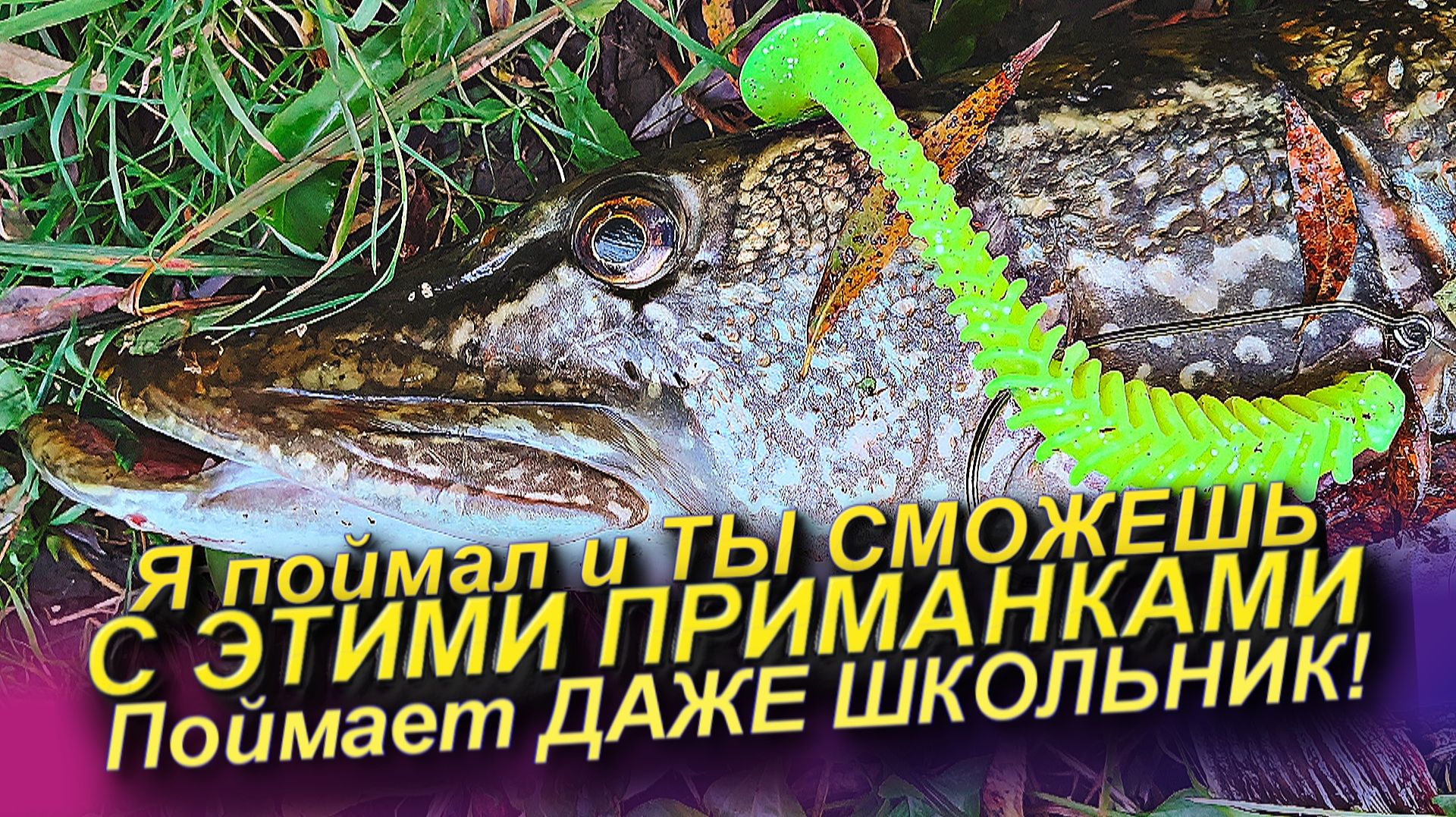 ЭТО САМЫЕ ЛУЧШИЕ ПРИМАНКИ НА ЩУКУ И ВОТ ПОЧЕМУ! ТОП ВОБЛЕРОВ НА ЩУКУ И ОКУНЯ 2025-2026! СПИННИНГ смотреть онлайн