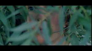 Песня "Соловьиный вальс"