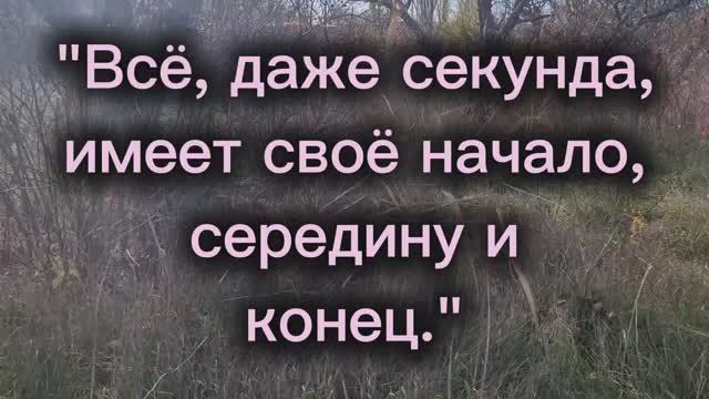 Начало, середина и конец