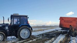 Вывозим зерно,КамАЗы встали.