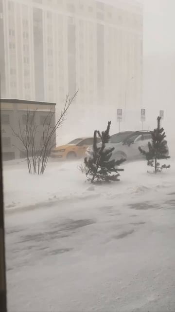 ❄️Первая метель зимы обрушится на Москву в эту пятницу❄️ смотреть онлайн