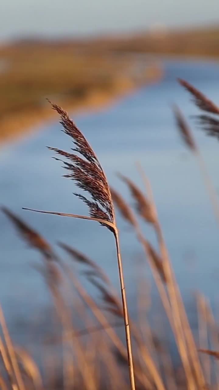 Видео без АП смотреть онлайн