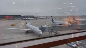 ЛЕТИМ В ЕГИПЕТ АЭРОФЛОТ БАГАЖ,ПИТАНИЕ НА БОРТУ.ЗАСЕЛЕНИЕ В ОТЕЛЬ SHARM DREEMS RESORT 5 ШАРМ ЭЛЬ ШЕЙХ