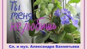 ТЫ МЕНЯ НЕ ЛЮБИШЬ. Стихи и музыка АЛЕКСАНДРА БАХМЕТЬЕВА. Исполняет автор.