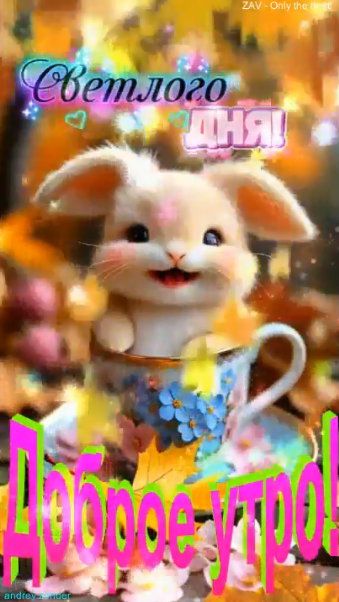Доброе утро!) Светлого дня!) #доброеутро смотреть онлайн