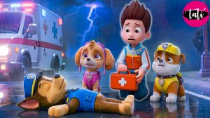 Щенячий патруль и Маршалл. Залипательное видео. Мультфильм для детей и малышей. Анимация