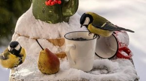 МОЙ ВЕЧЕР ПЯТНИЦЫ 🙃 ПОЛНЫЙ ОТПАД💥