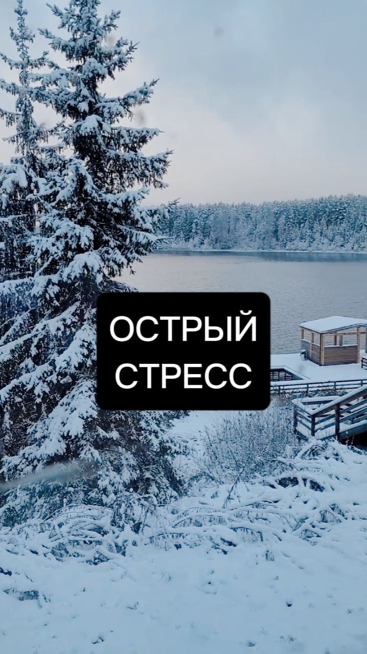 Стресс острый | Ophir ОСОЗНАННОСТЬ