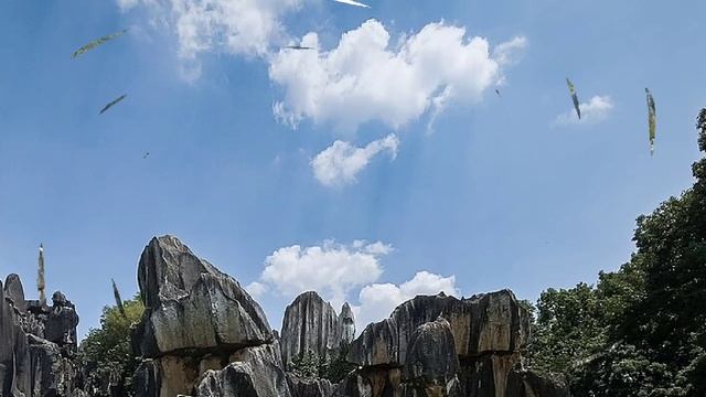 «Каменный лес»