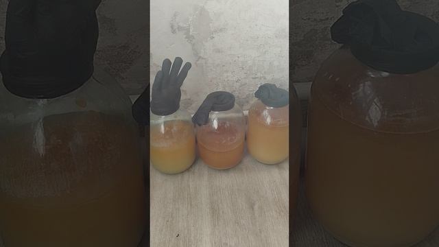 решил заняться виноделием смотреть онлайн