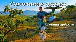 Переезд с Якутии в Крым за мечтой. Герман Арбугаев о Соколиной охоте