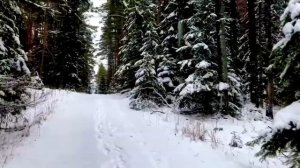 Зима на Валааме....