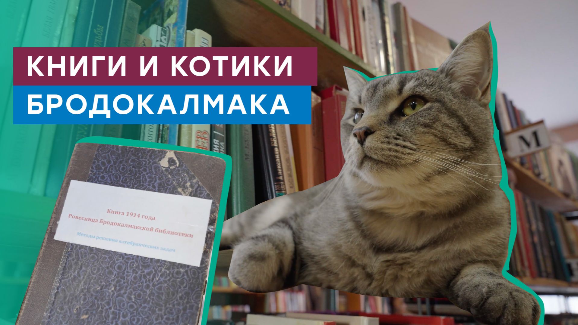 В селе Бродокалмак Челябинской области газифицирована библиотека смотреть онлайн