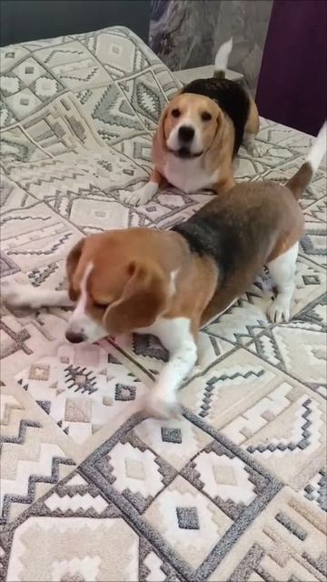 ❤
