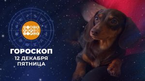 Гороскоп на 12 декабря. Доброе утро. Фрагмент выпуска от 12.12.2025