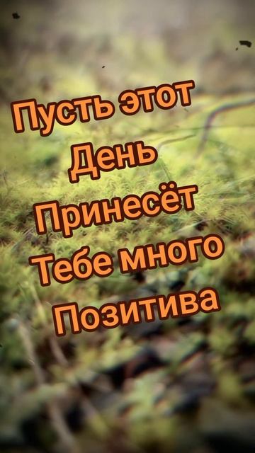 жизнь прекрасна