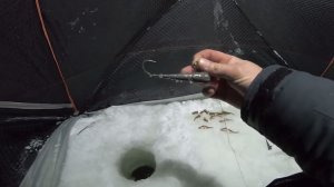 Вечерняя рыбалка на реке. Ловля налима на стук.