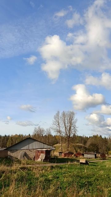 Привет от серых смотреть онлайн