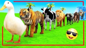 Мультики про диких животных. Дикие животные: горилла и бегемот. Смотреть онлайн Мультики для детей.