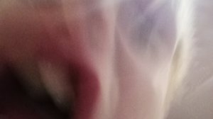 Моя 3 трансляция