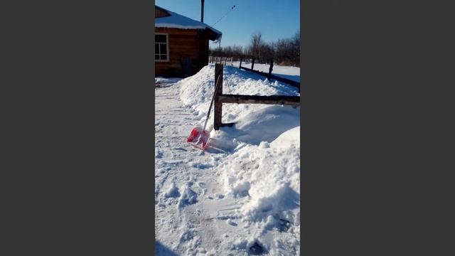 Про дорогу к дому