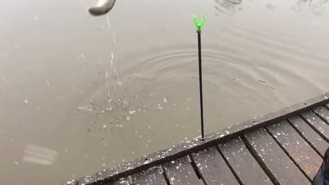 Вип зона. смотреть онлайн