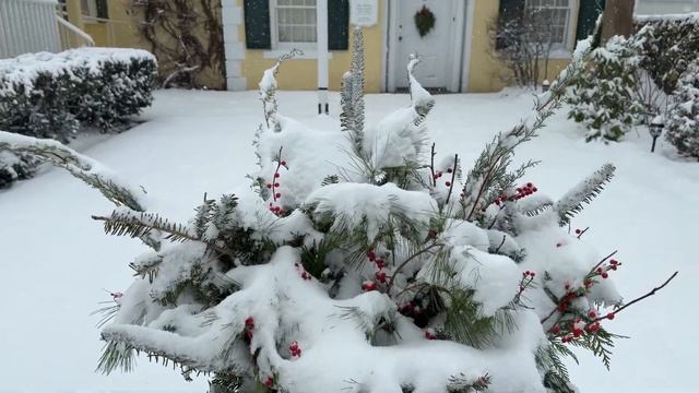 🌟 Снежная магия 2025: прогулка по сказочным Вудстоку и Кингстону! ☃️ смотреть онлайн