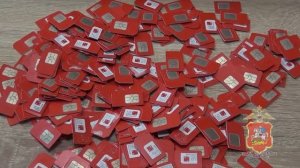 Подмосковные полицейские пресекли деятельность группы, обеспечивавшей каналы связи для мошенников