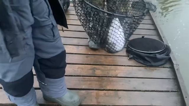 Вип зона. Поимка форели. смотреть онлайн