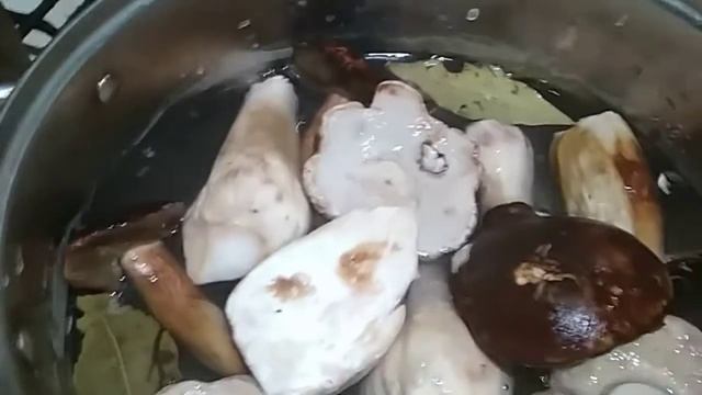 Засолка белых грибов. Проверка рецепта.