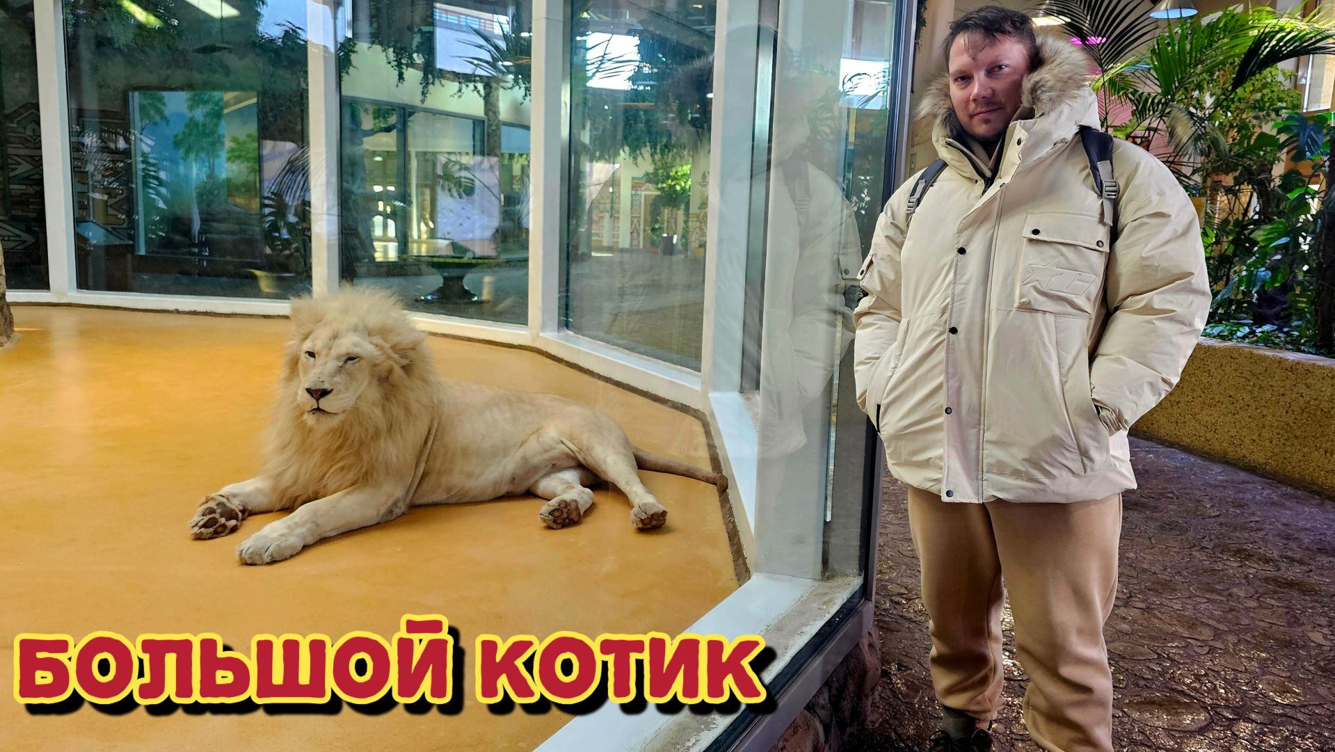 Посетили зоопарк в Казани и остались довольны/едем в Волжск на электричке. смотреть онлайн