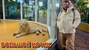 Посетили зоопарк в Казани и остались довольны/едем в Волжск на электричке.