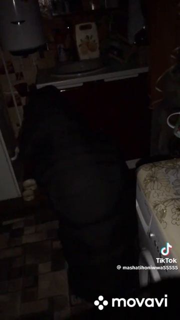 Один не смотри смотреть онлайн