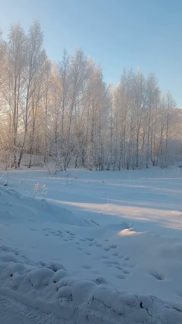 Ох и жарит🥶🥶🥶 -35