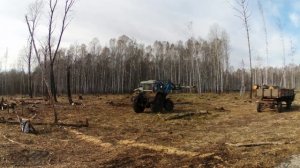 Заготовка дров.