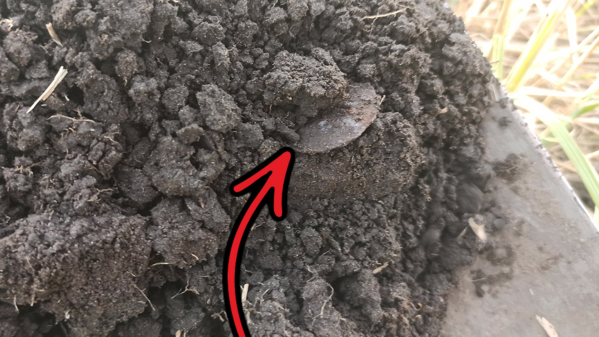 Ищу монеты на распаханных фундаментах. НАШЕЛ СЕРЕБРО! КОП МОНЕТ 2025! смотреть онлайн