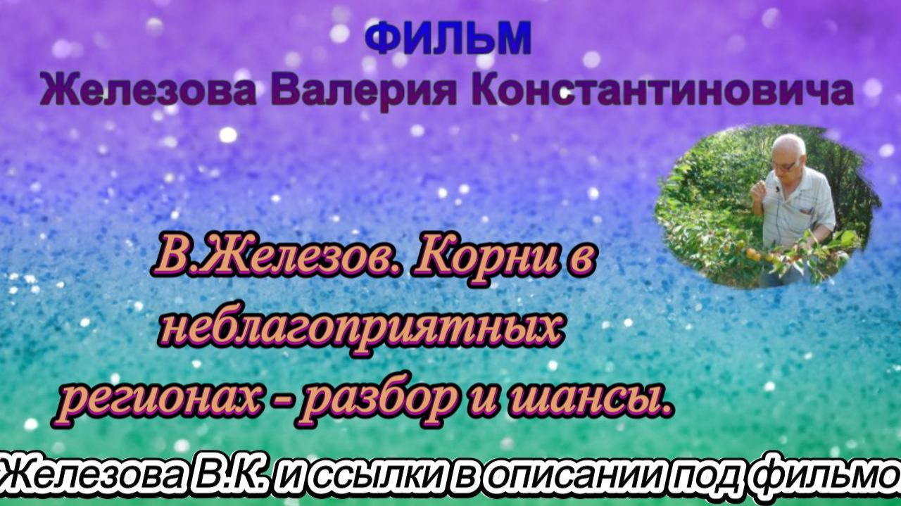 В.Железов. Корни в неблагоприятных регионах - разбор и шансы. смотреть онлайн