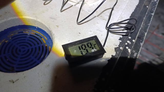 Пчелы гонят расплод 12.12.2025