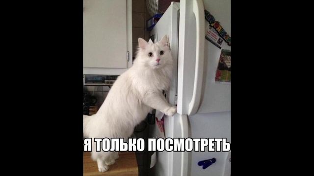 Разговоры с коллекторами 103 смотреть онлайн