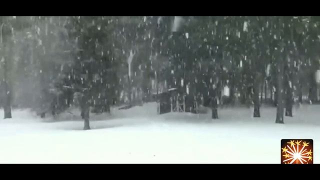 Новогоднее смотреть онлайн