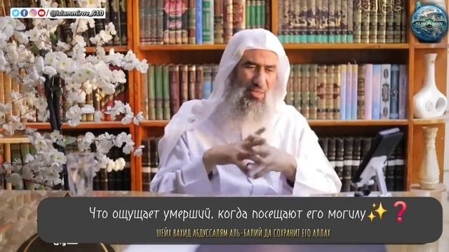 Что ощущает умерший, когда посещают его могилу || Шейх Вахид Абдуссалям аль-Балий смотреть онлайн