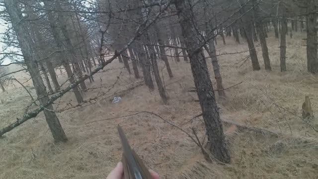 Охота на бесстрашного зайца со стальными нервами по чернотропу смотреть онлайн