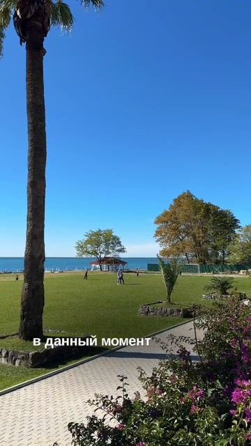 Отель «Абаата» в Гагре: где история встречает комфорт  Начнем с расположения — в самом сердце Старой