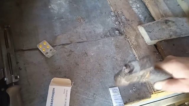 Раствор из таблеток для цыплят.