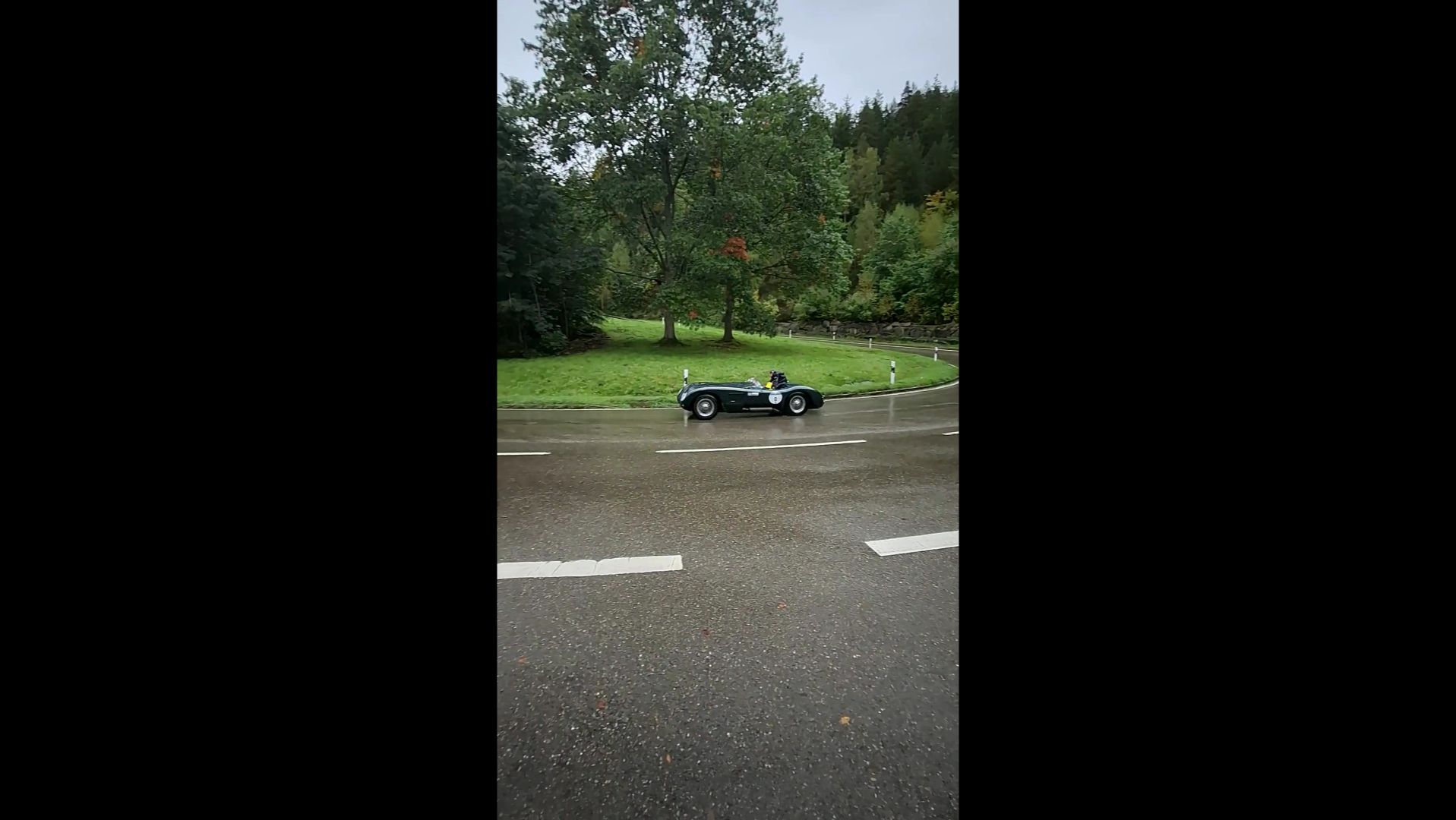 wet jaguar смотреть онлайн