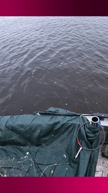 Запуск сплавной Сети! смотреть онлайн