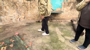 ЭТО ТАК СМЕШНО! Степка хочет сделать Люсю СВОЕЙ НЕВЕСТОЙ!