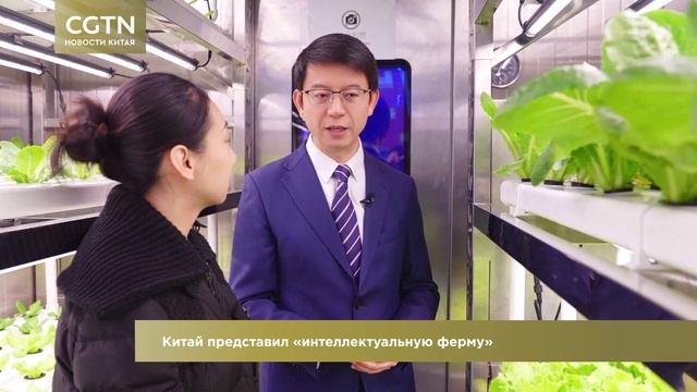 Новости Китая / CGTN / Выпуск 32 смотреть онлайн