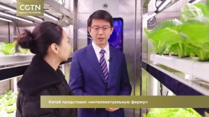 Новости Китая / CGTN / Выпуск 32